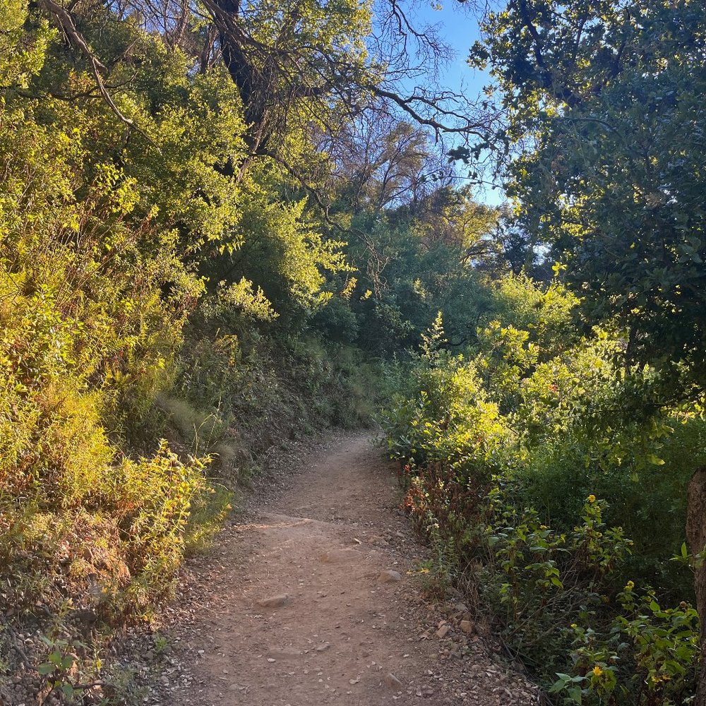 Meet your Posher, Kasey